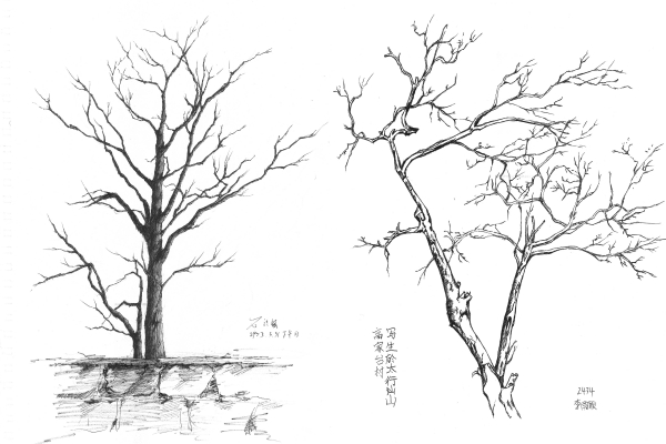 微信圖片_20250423200134.jpg